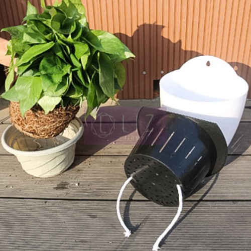 Chậu Treo Tường Trồng Cây Thuỷ Sinh [Kèm Dây & Móc Treo]