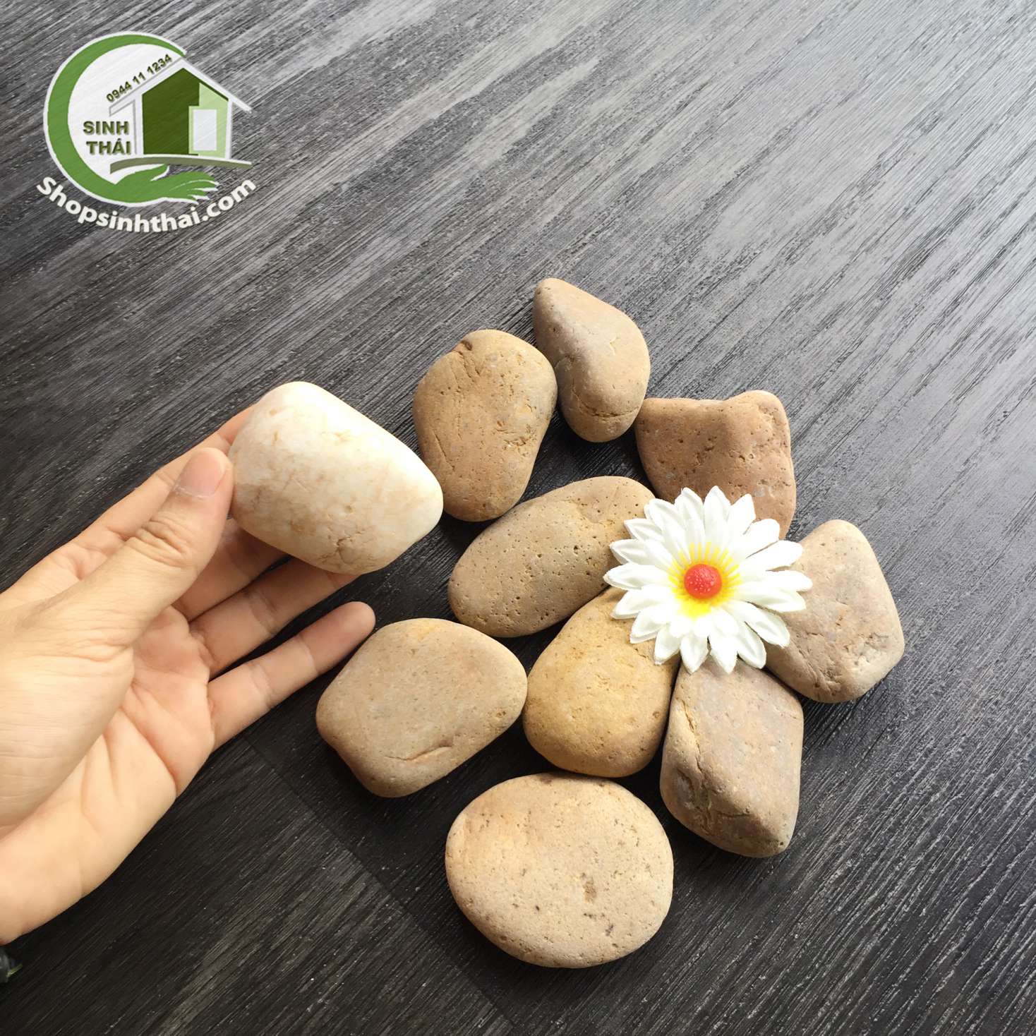 [HCM]1 kg đá sỏi lớn màu nâu trang trí bể cá sân vườn chặn giấy