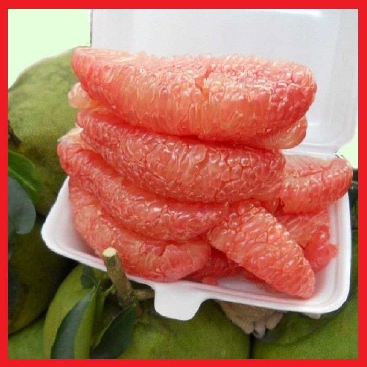 2 cây giống Bưởi da xanh ruột đỏ - C04