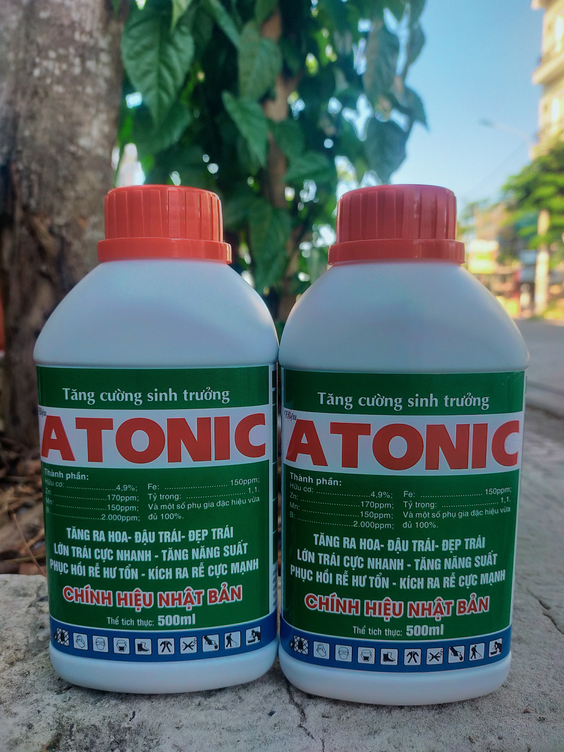 Atonik 500ml (Buy 1 Bottle Get 1 Free Package of Fire Tiger) Stimulate Roots