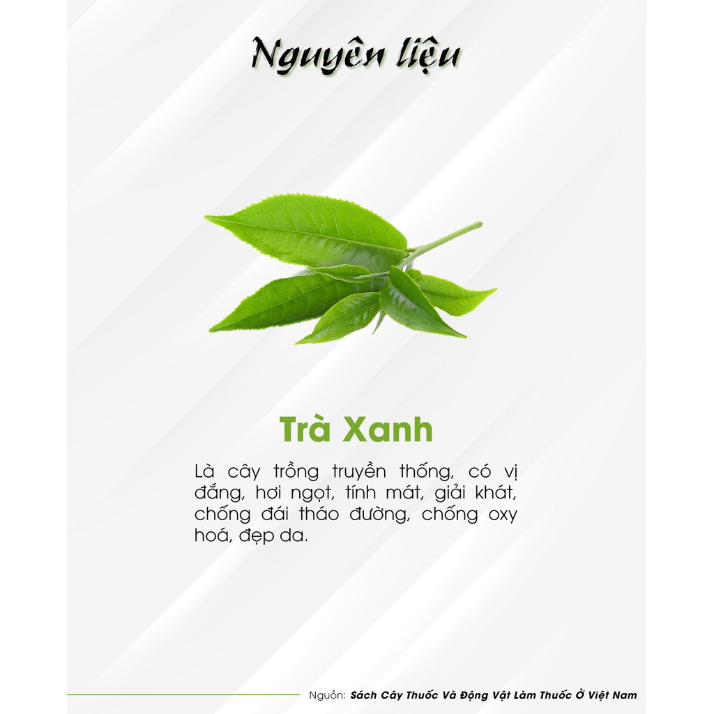 [HCM]TRÀ XANH  -  Hùng Phát