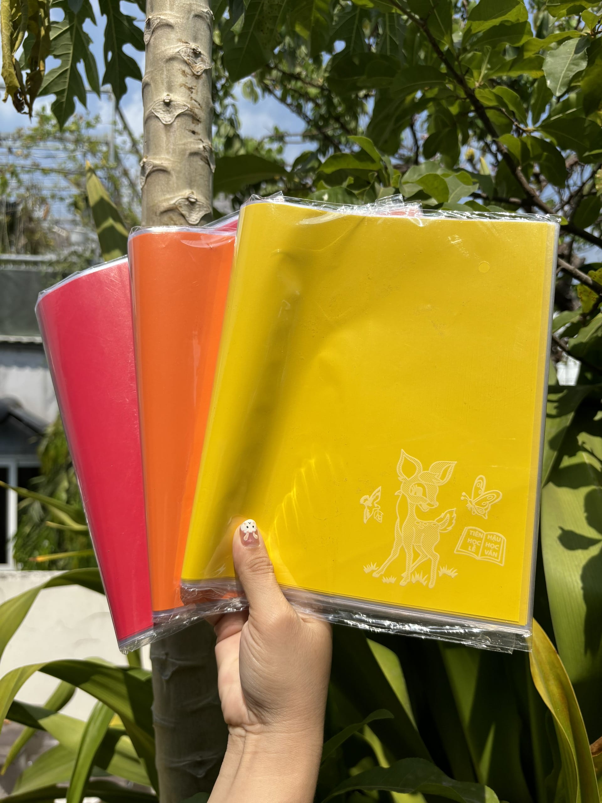 COMBO 10 tờ bao tập nilon giấy màu thủ công (15.5x20.5cm)