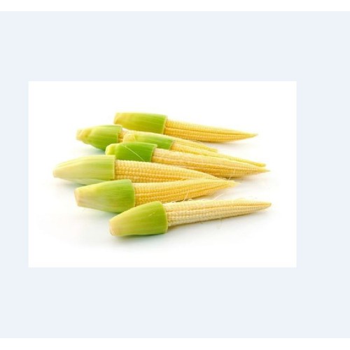Hạt giống ngô bao tử - 1 gói 30 hạt
