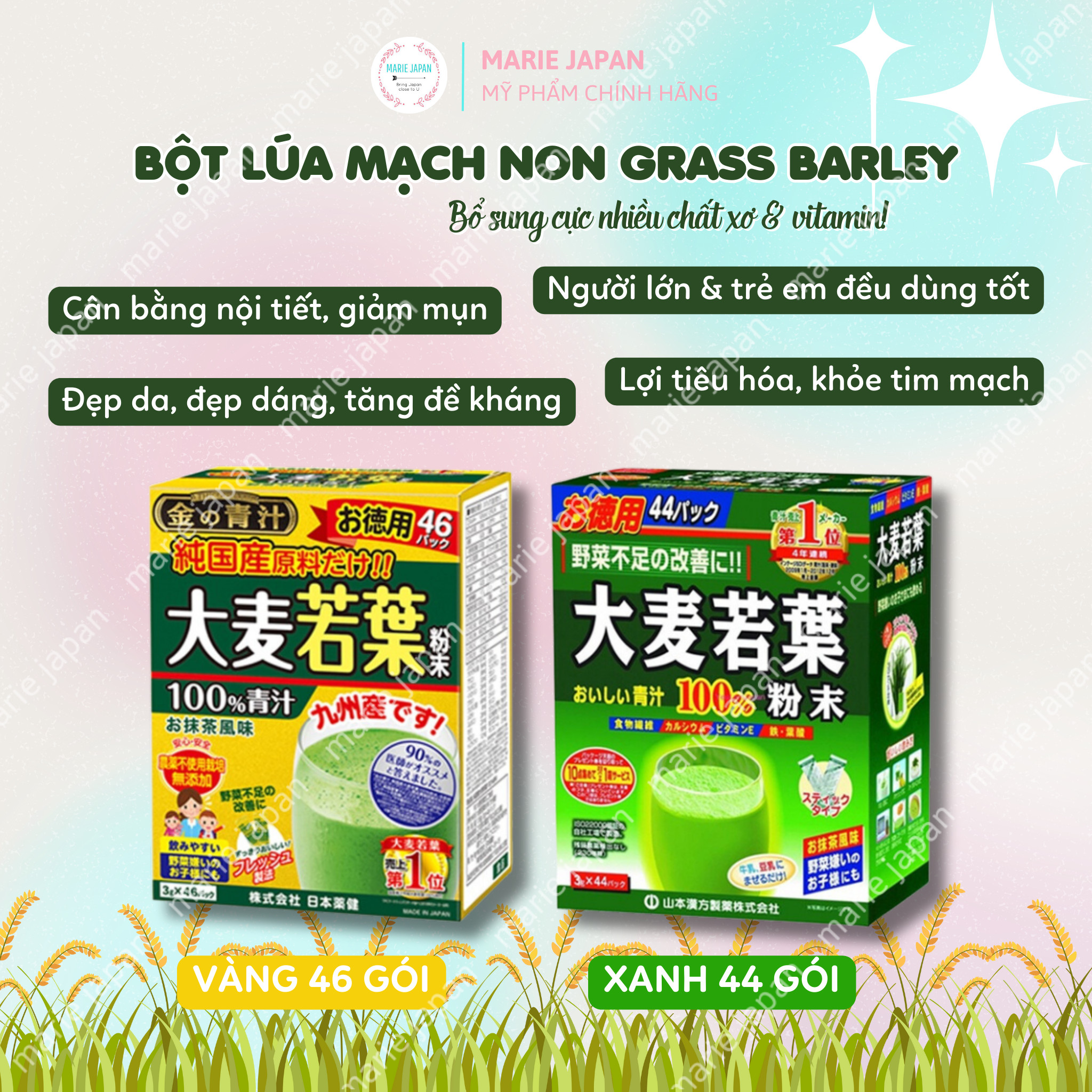 HỘP LỚN - Bột Lúa Mạch Non Grass Barley Nhật Bản