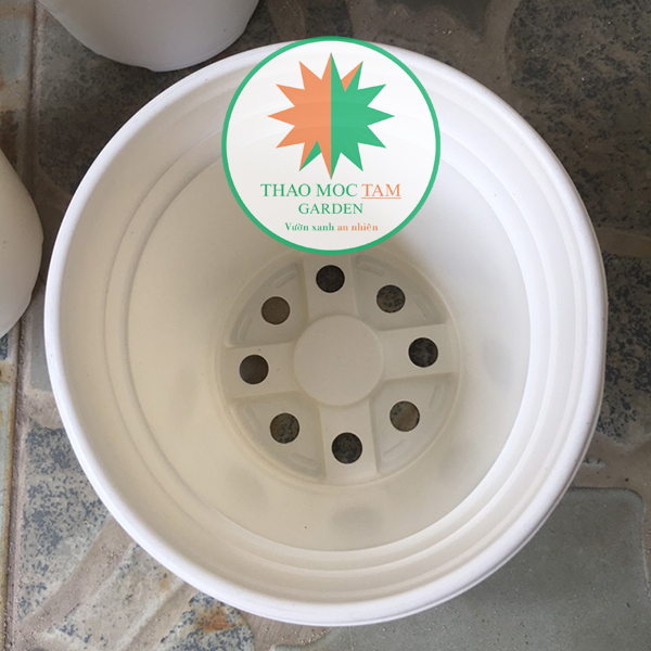 100c Chậu nhựa trồng hoa , ươm cây chất lượng cao