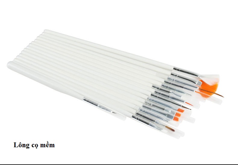 [HCM]Set 15 cây cọ cơ bản trắng vẽ móng