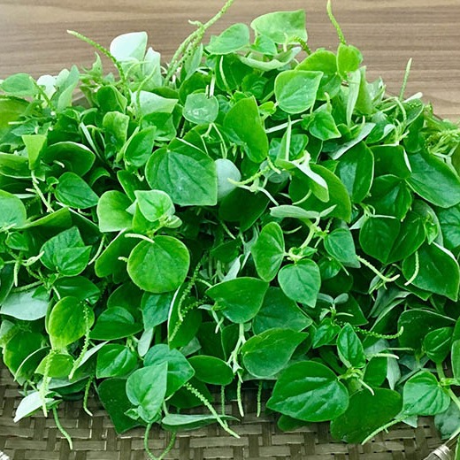 Hạt giống rau càng cua