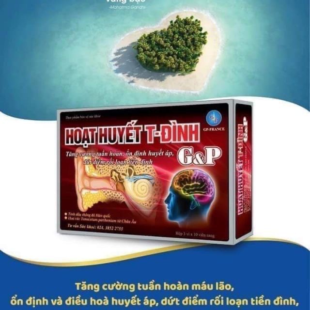 Hoạt Huyết Tiền Đình G -P
