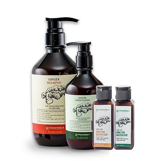 GỘI GỌI/ XẢ RỪNG GINGER SHAMPOO