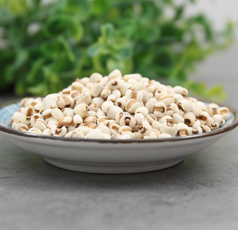 100g Y Dĩ  ( Ý Dĩ Nếp, Hạt Bo Bo)
