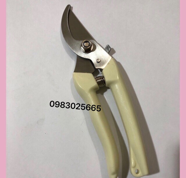 Kéo cắt cành cán trắng mỏ cong