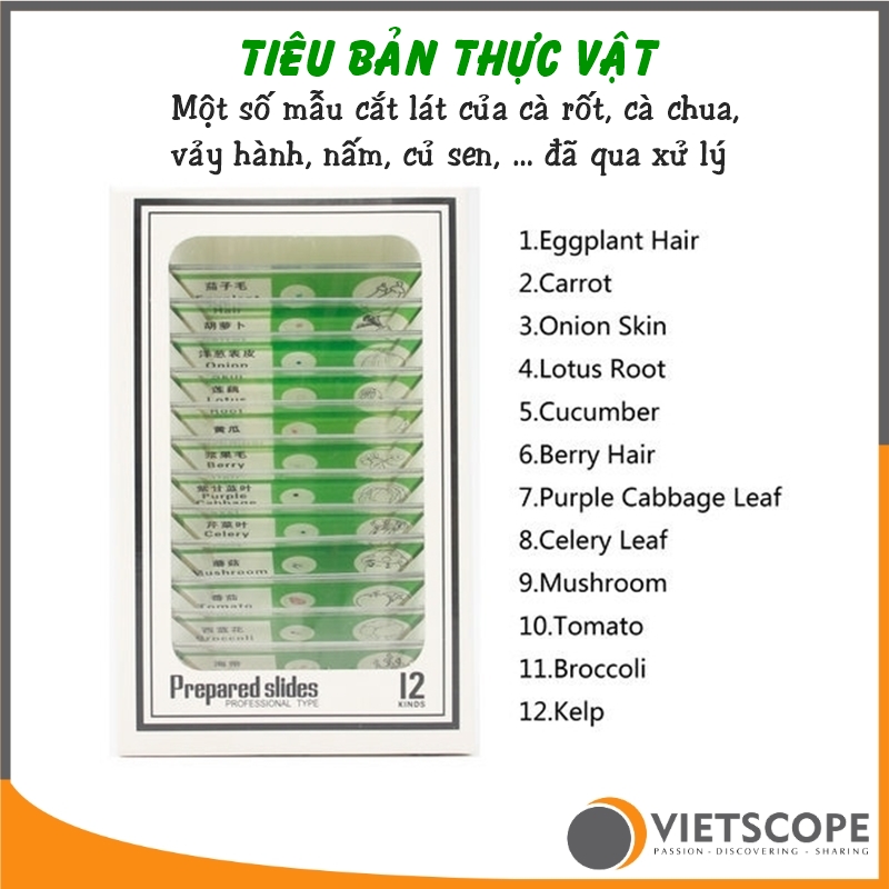 [HCM]Bộ 12 mẫu tiêu bản đã qua xử lý dành cho kính hiển vi - Lam kính nhựa ABS