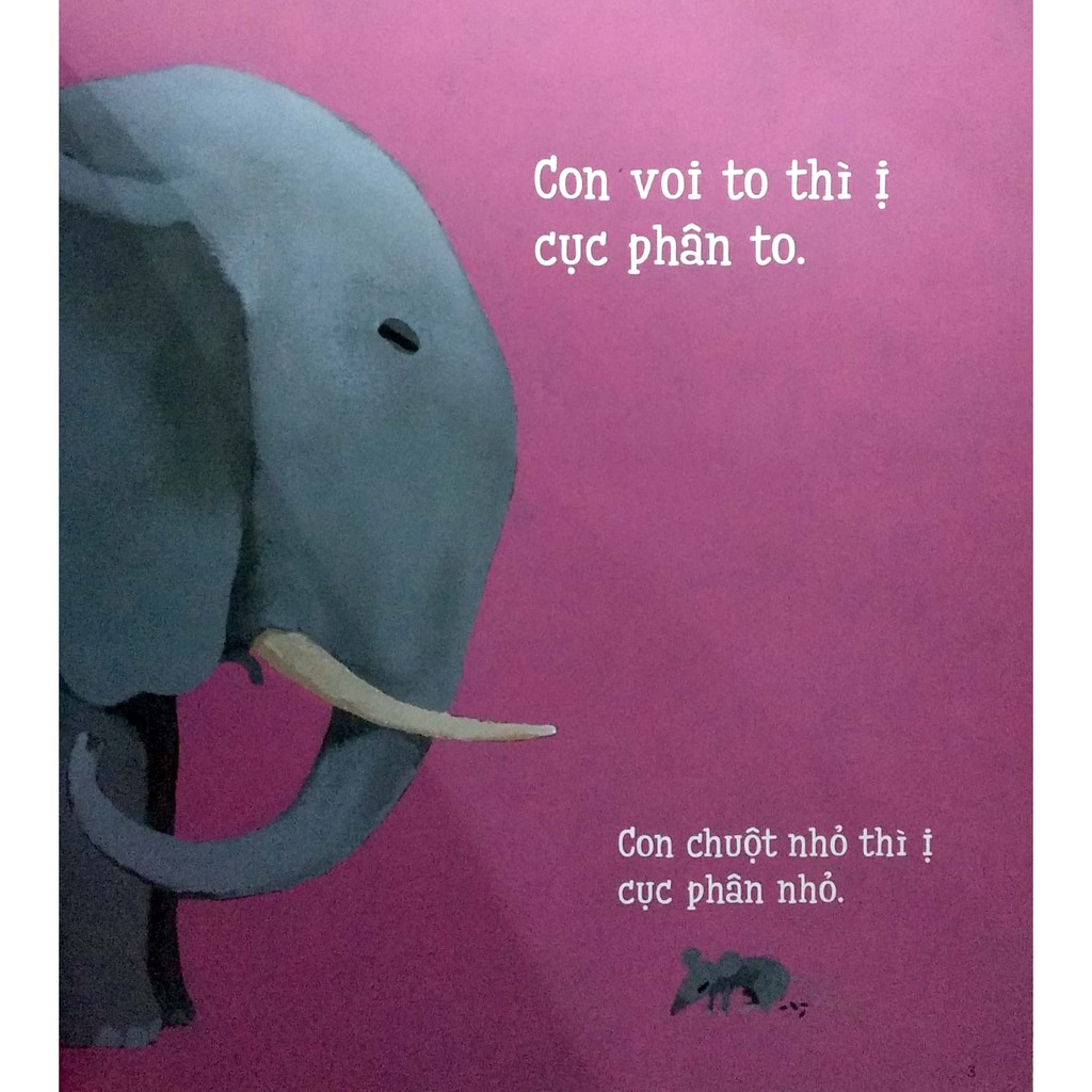 Sách Ehon Nhật Bản - Tất Cả Đều Đi Ị