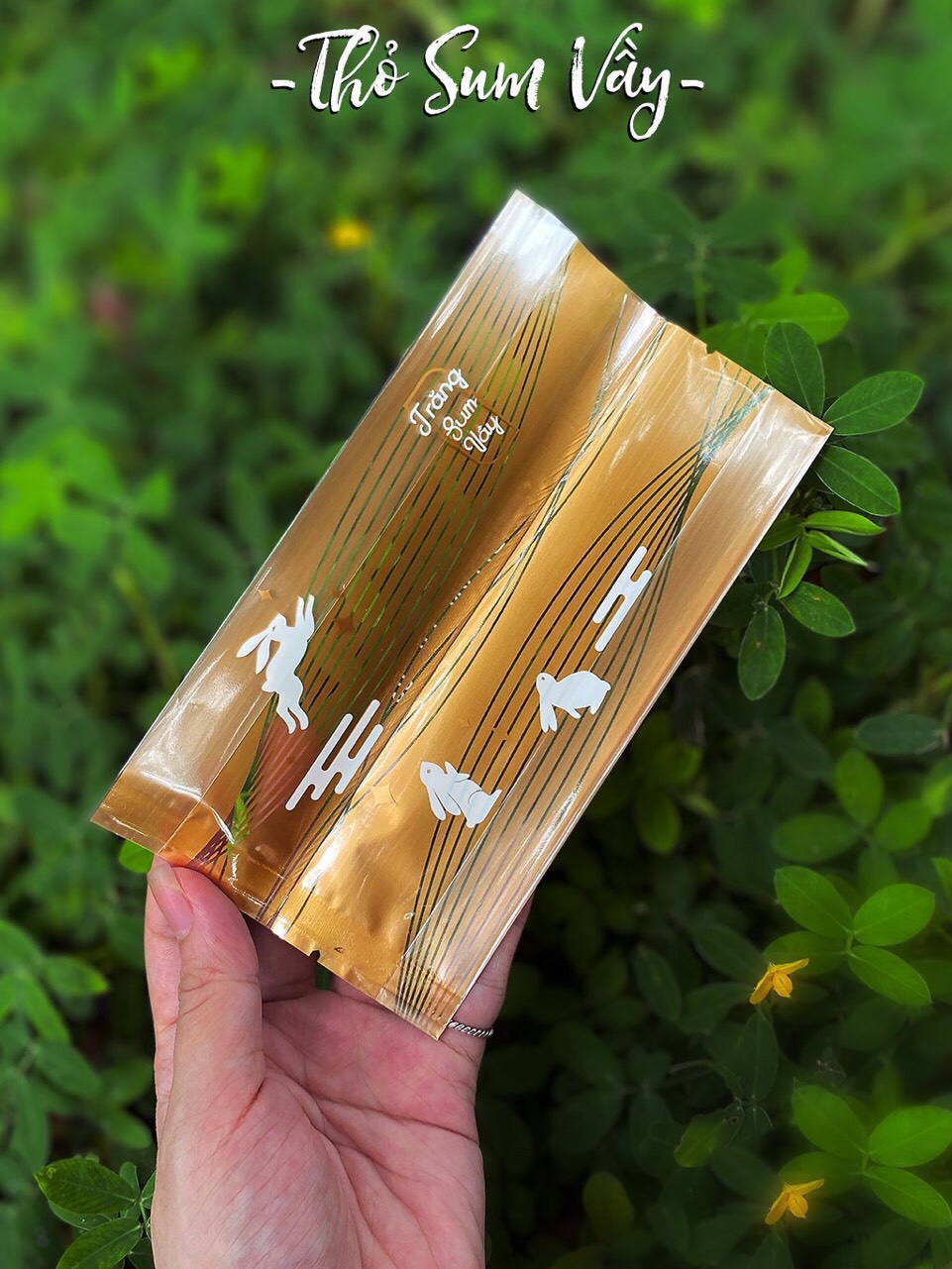 SET 100 KHAY TÚI ÉP SIZE 9 (150GRAM-190GRAM)