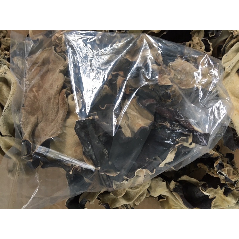 nấm mèo / mộc nhỉ giá rẻ 100gr