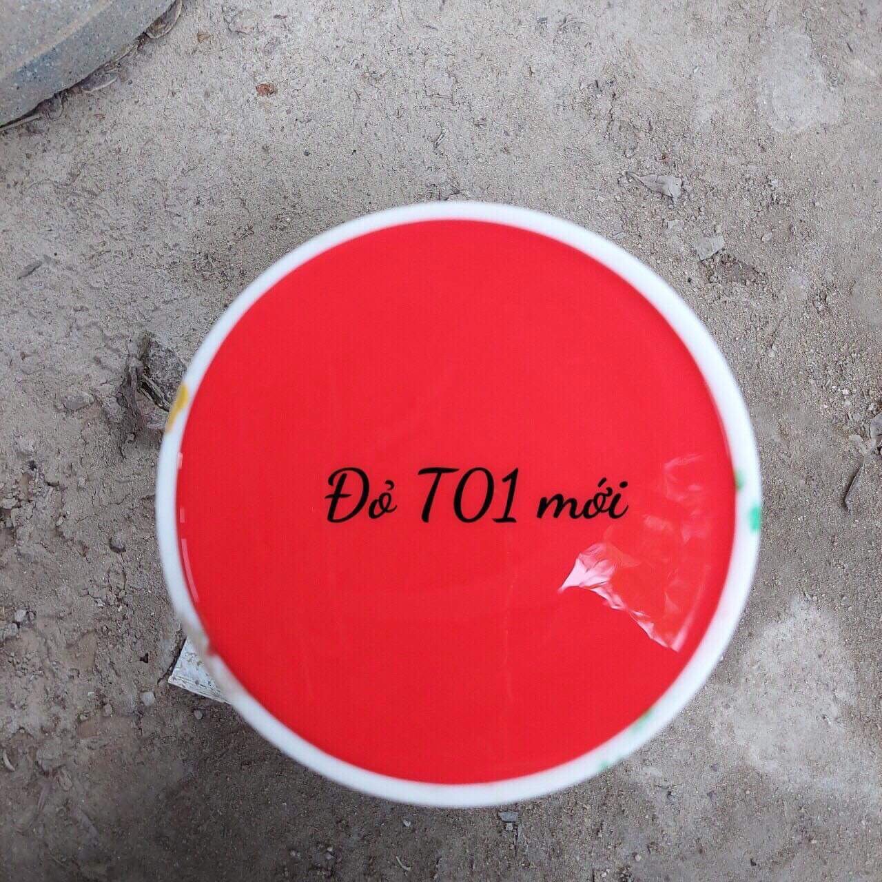 Sơn chuyên dụng dành cho chậu cảnh (1kg)