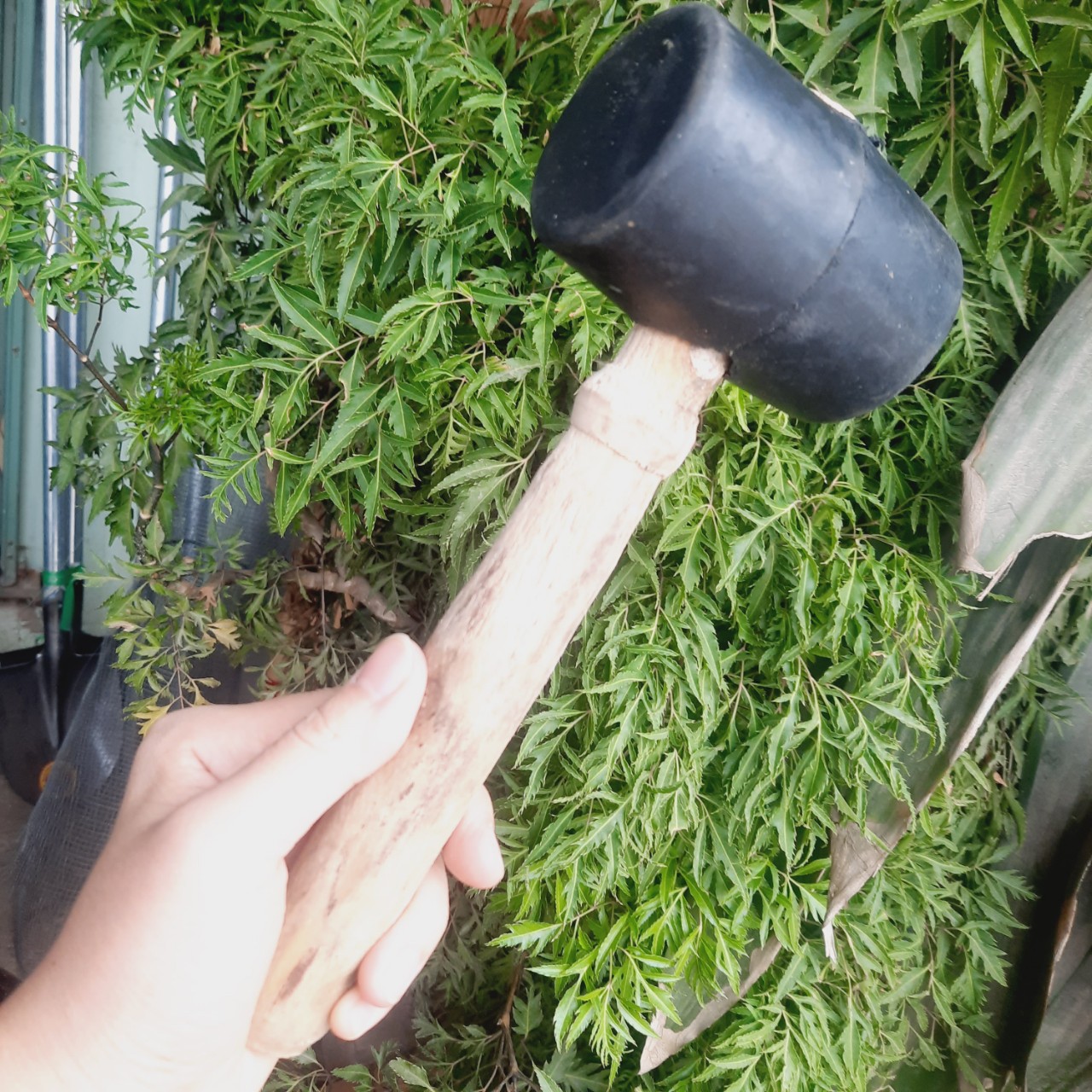 Búa cao su Đen loại trung nặng 300gam