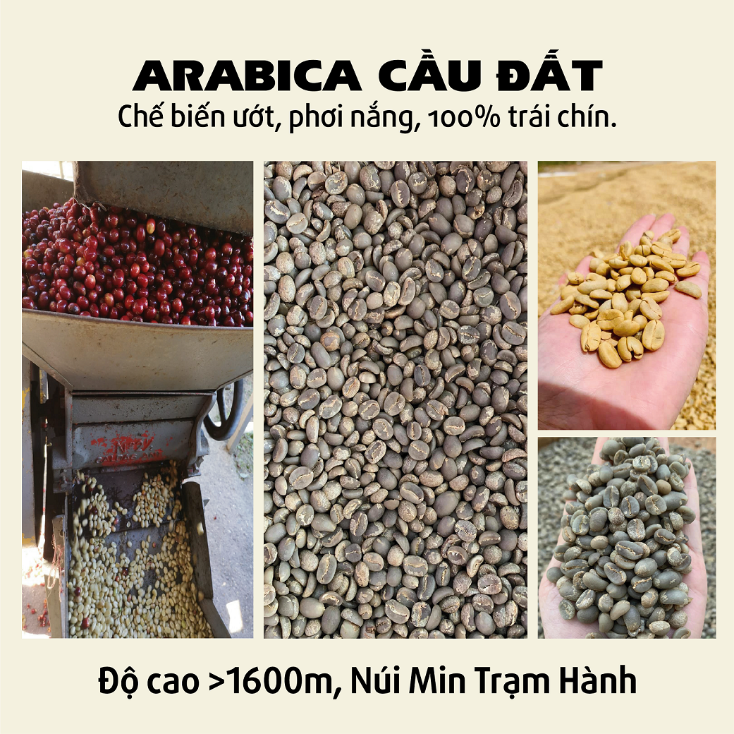 Cà phê Arabica Cầu Đất [500g] - 100% Cà phê mộc rang xay nguyên chất, pha máy, cold brew - TBCAFE