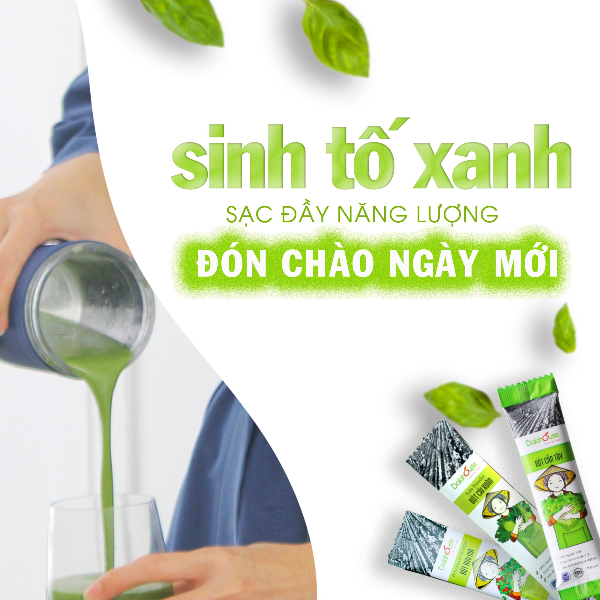 Bột cải xoăn nguyên chất Dalahouse 60gr