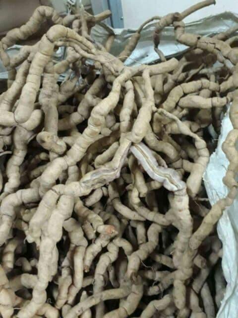 Ba kích tím loại I Quảng Ninh 1kg