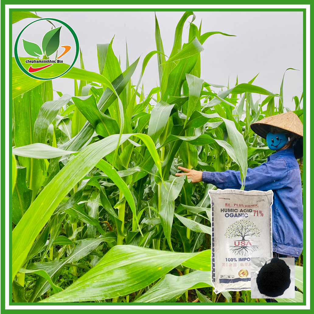 Phân bón HUMIC dạng bột. Bao 20kg