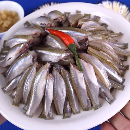 Lưới đánh cá lòng tong,tôm,tép,các loại cá nhỏ (dài 50m cao 50cm 1 màn)-( dài 50m-cao 1m-1 màn )