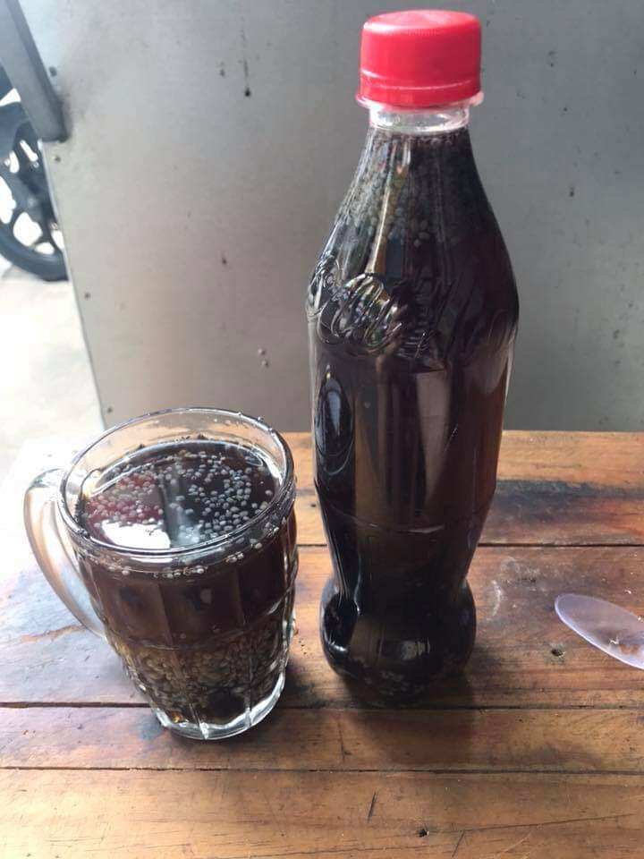 [HCM] Cốt Sâm Bí Đao Cô Đặc 500 Gram