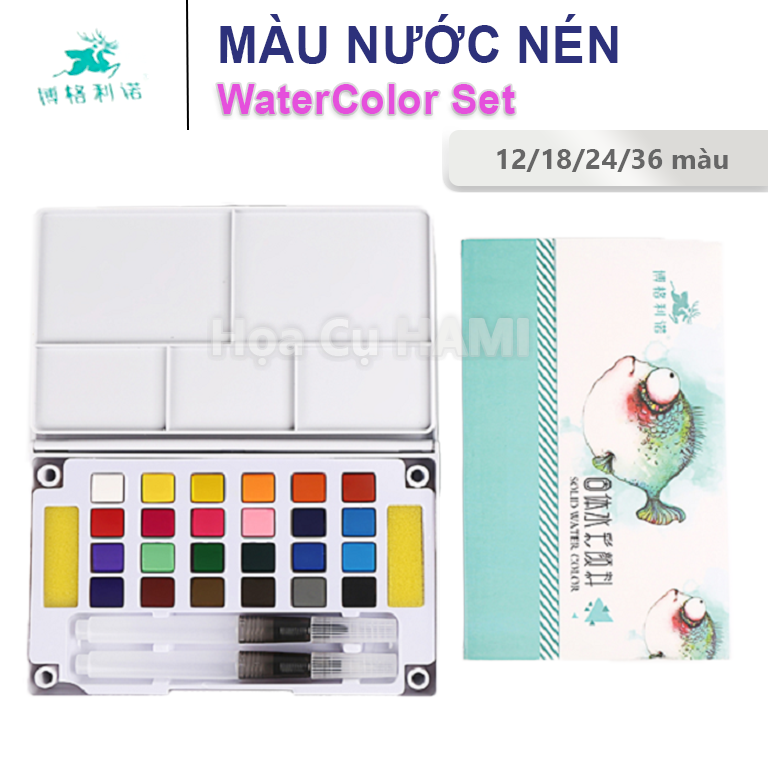 Bộ Màu Nước Solid Water Color Cao Cấp 12/18/24/36