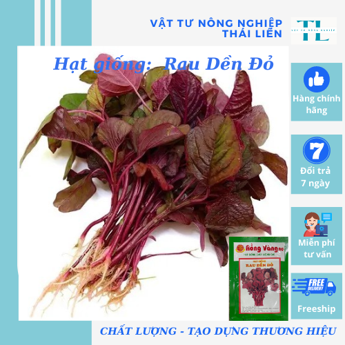 Hạt giống rau dền đỏ cao sản dễ trồng, hạt giống Rồng Vàng