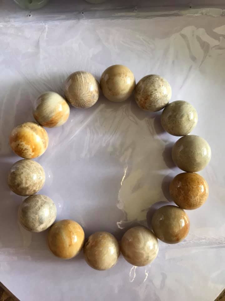 [HCM]Vòng Nam Đeo Tay Rất Đẹp Hiếm có hàng size 14ly San Hô Hoá Thạch chỉ có 450k thôi ạ