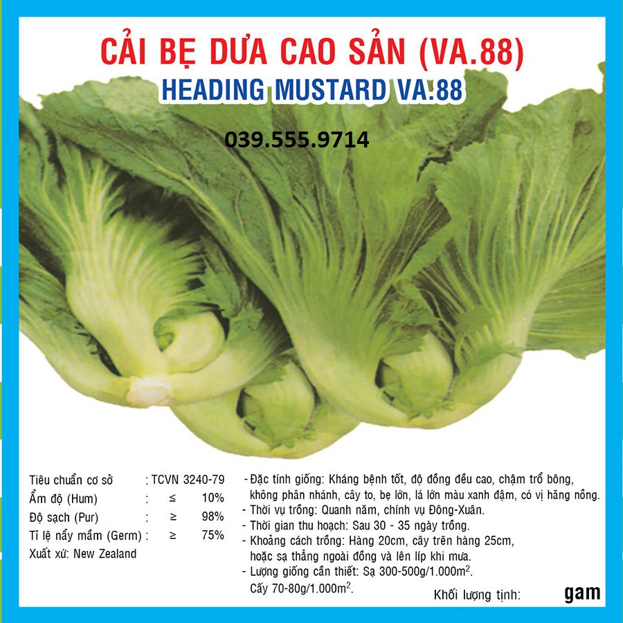 Hạt giống Cải Bẹ Dưa Cao Sản - 20gram