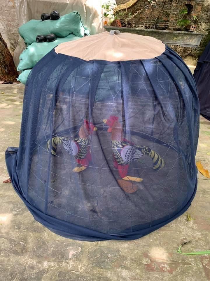 Áo Lồng Mưa Muỗi Gà