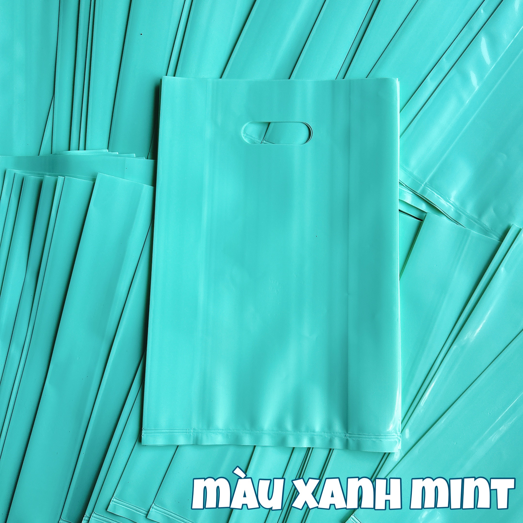1kg TÚI HỘT XOÀI MÀU