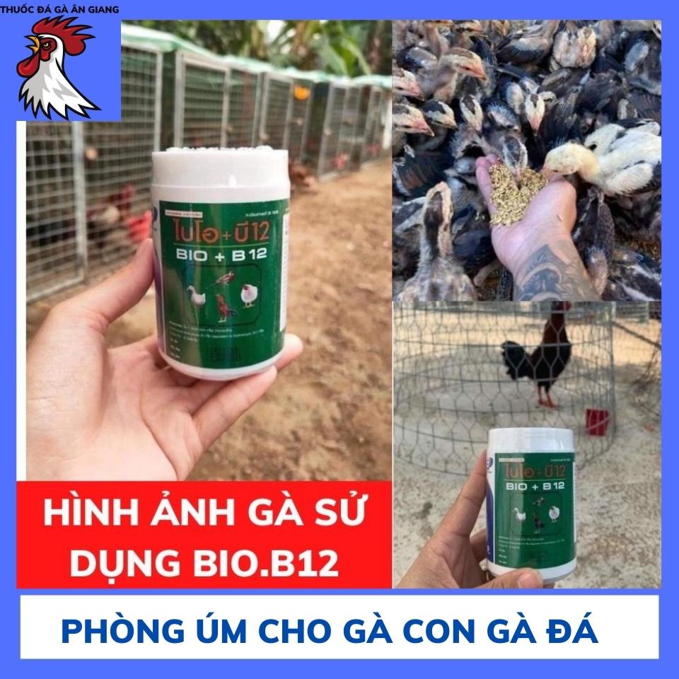 Bio+B12 Thái - (SẢN PHẨM ÚM GÀ CON THÁI LAN )