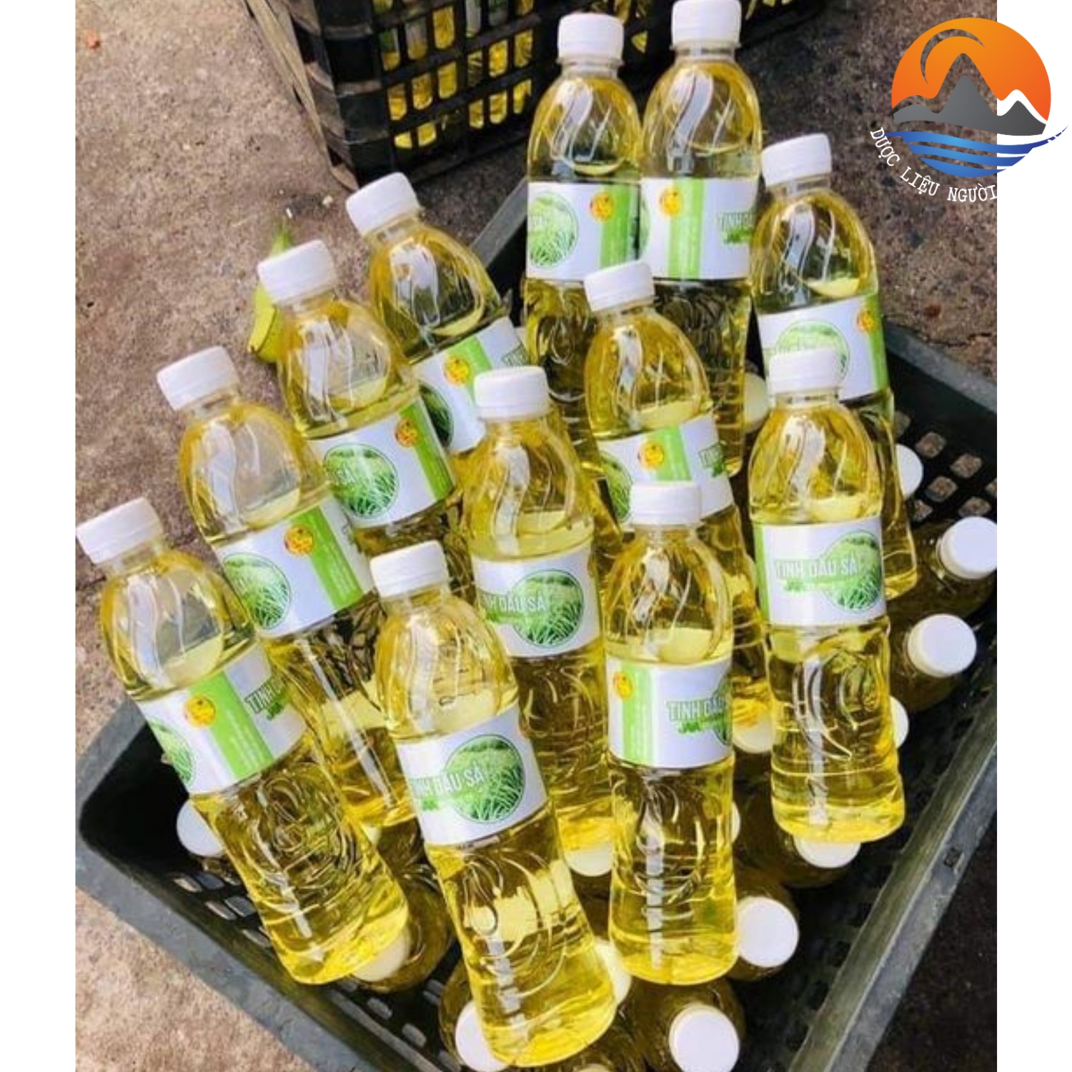 Tinh dầu sả java nguyên chất (chai 500ml) chưng cất thủ công thơm, khử mùi, đuổi côn trùng - Tinh dầu xả xã Java Mường Tè