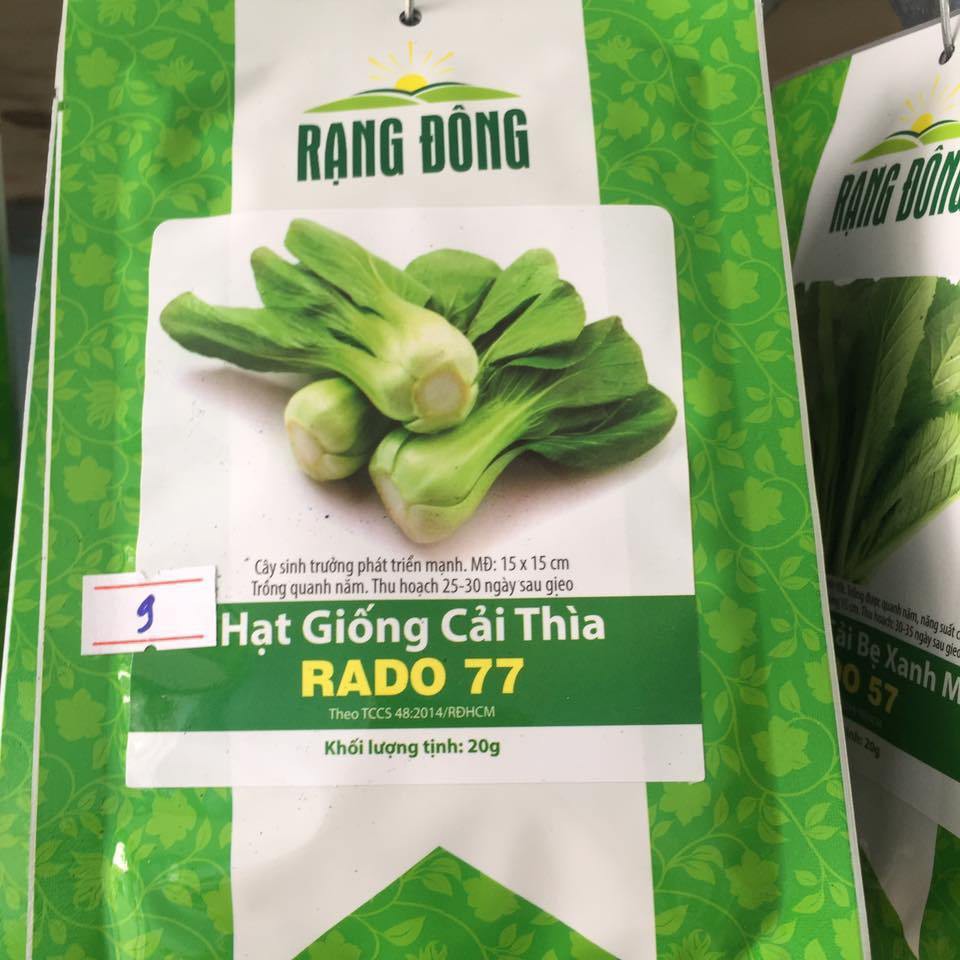 Hạt Giống Cải Thìa Rạng Đông 77