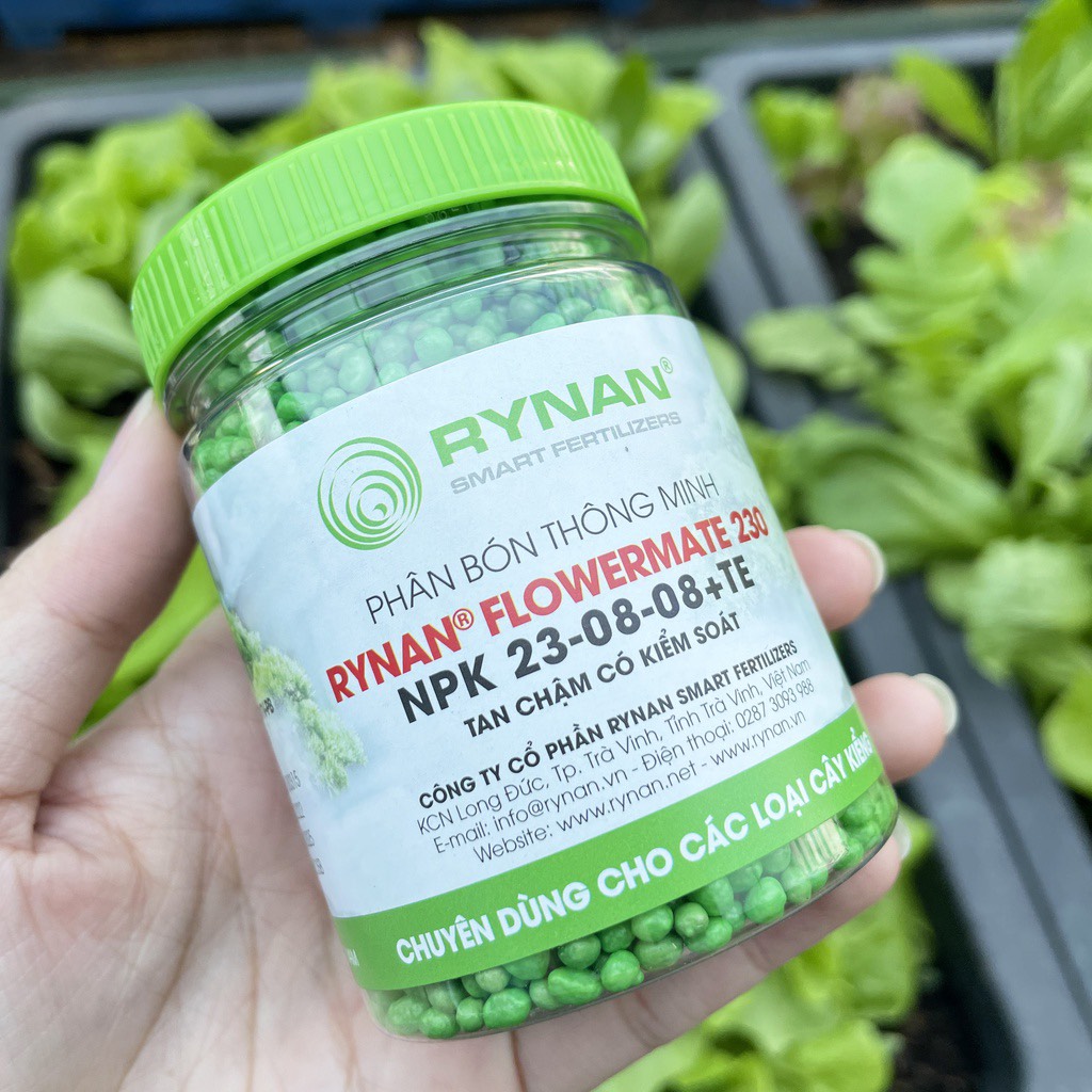 Phân tan chậm Rynan phân bón có kiểm soát bón cây kiểng