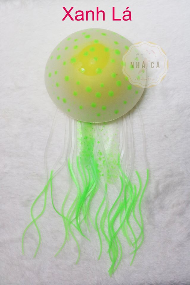 Sứa Mặt Trăng Dạ Quang Size Lớn - Trang Trí Hồ Cá - Phụ kiện hồ cá hồ thủy sinh