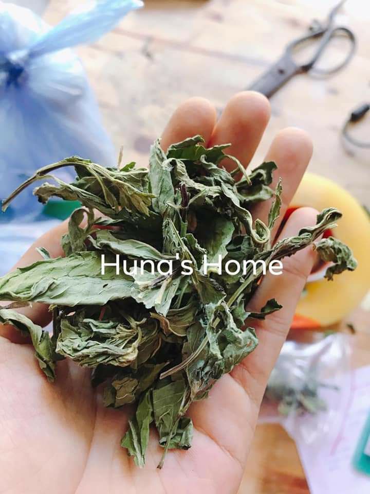TRÀ SÂM BÍ ĐAO HUNA'S HOME (10 SET)