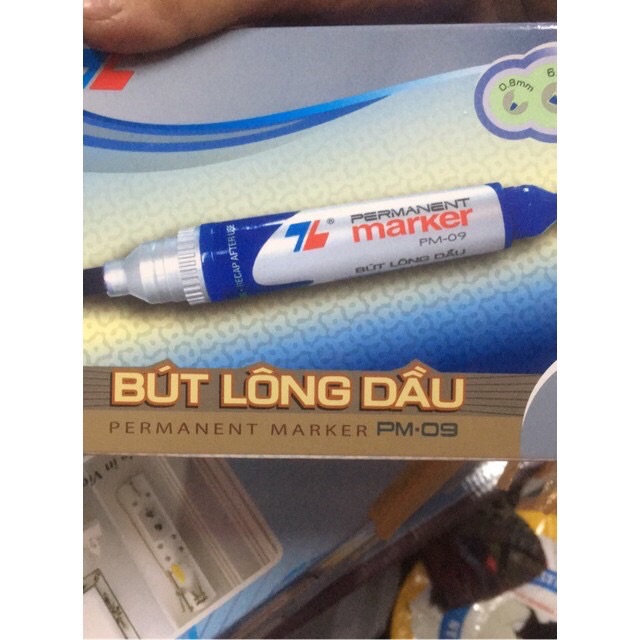 Hộp 10 bút lông đâu PM09