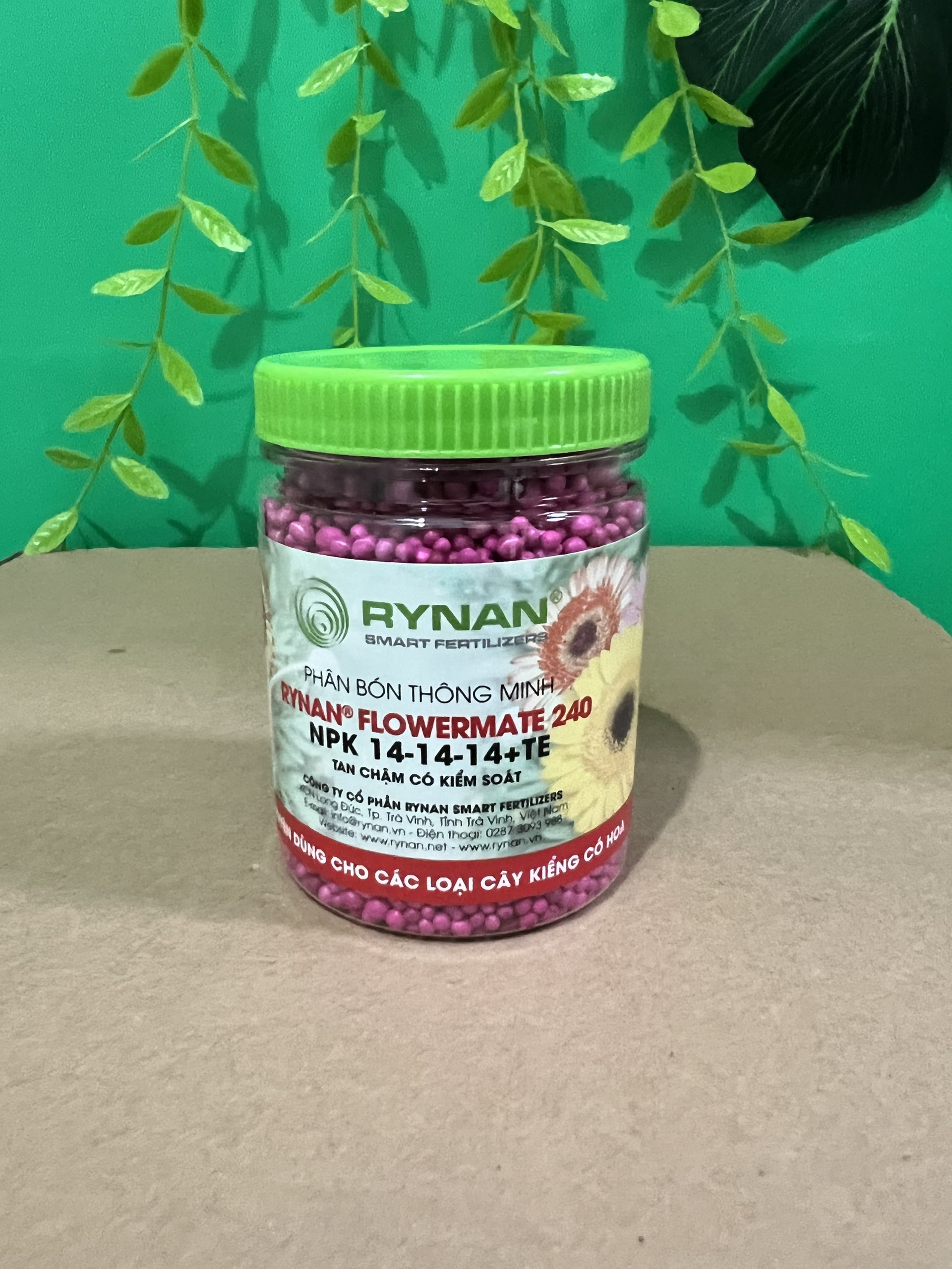 Phân bón thông minh Rynan 240 NPK 14-14-14+TE dành cho cây cảnh nội thât, cây đang ra hoa