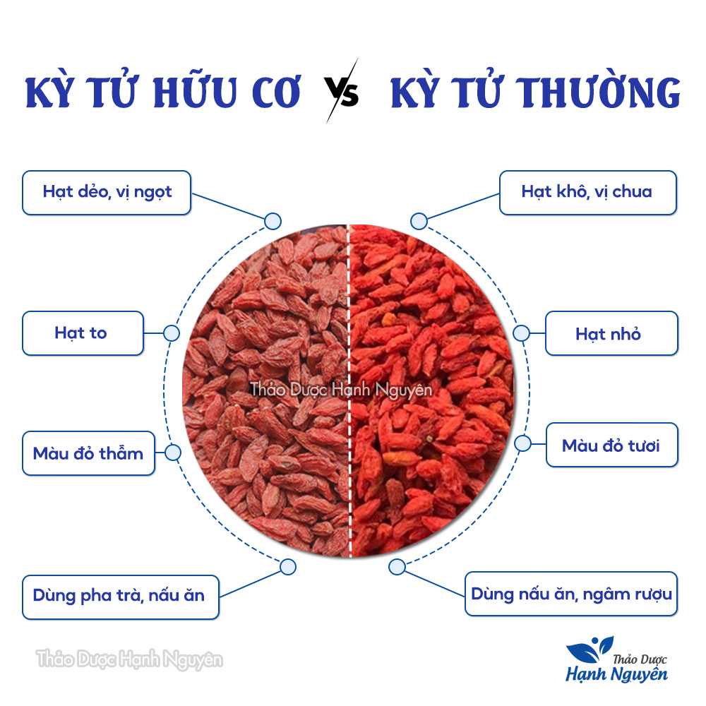 Kỷ tử ninh hạ 100g, hạt kỳ tử to, tròn, vị ngọt thanh, trà kỳ tử đẹp da, chống lão hóa - Hạnh Nguyên