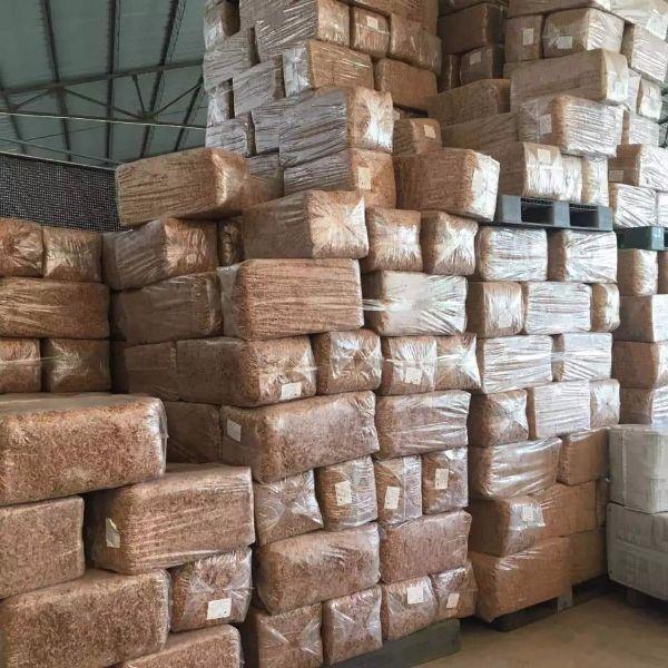 Dớn mềm trồng lan sphagnum moss 200gr