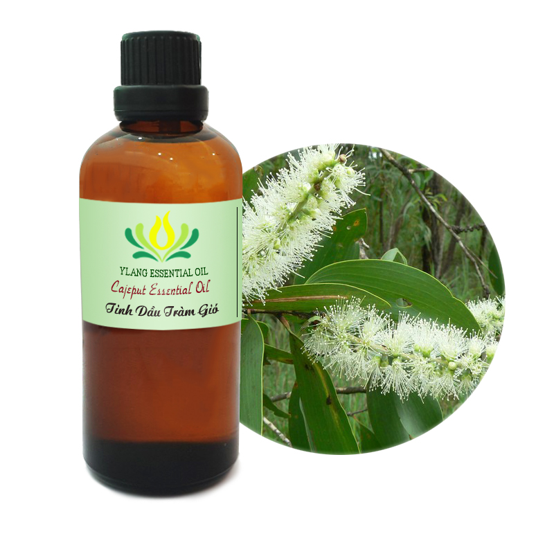 Tinh dầu Tràm Gió (Cajeput) - 100ml