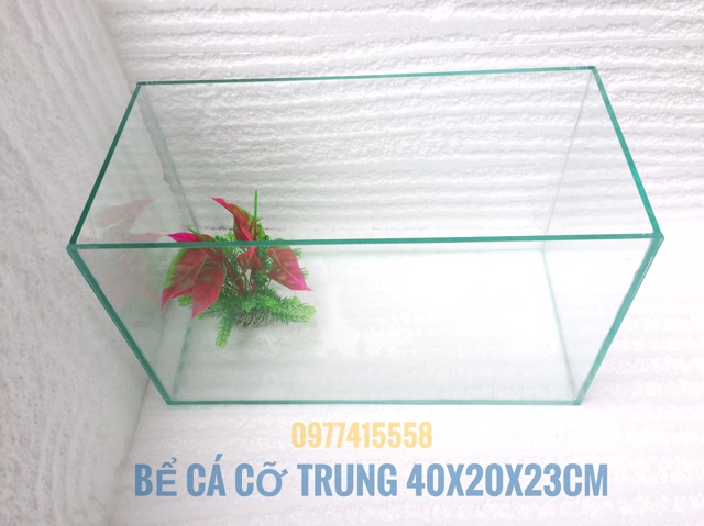 Bể cá size  40*20*23cm kèm đèn và lọc( tặng cây và thức ăn)