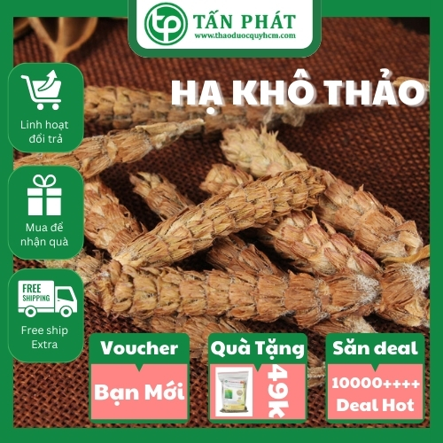 [Hàng mới về] Hạ khô thảo khô 100g - tấn phát - Chuyên dùng để pha trà