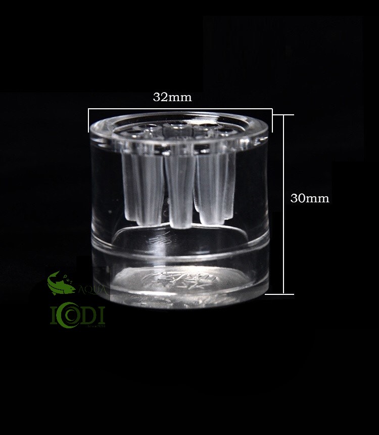 Bẫy Sán Acrylic Hồ Thủy Sinh