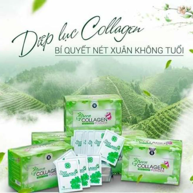 [HCM]diệp lục collagen chính hãng.