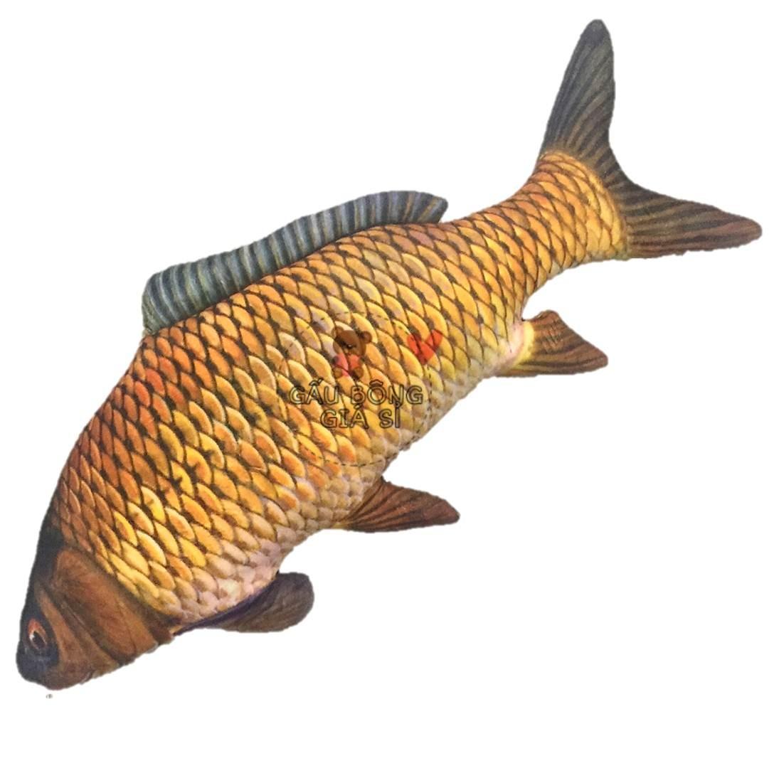 GẤU BÔNG CÁ CHÉP 25CM