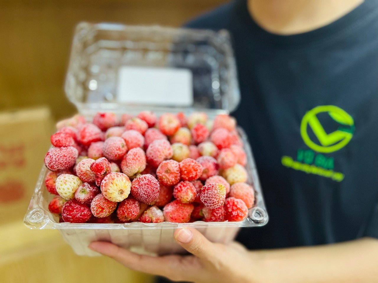 [Hcm] Frozen Japanese Sachi Strawberries - for Making Ice Cream, Cakes, Jams, Smoothies